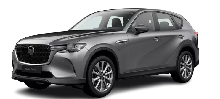 imagen CX60 8 AT AWD Exlusive Line 2.5 327CV PHEV-59